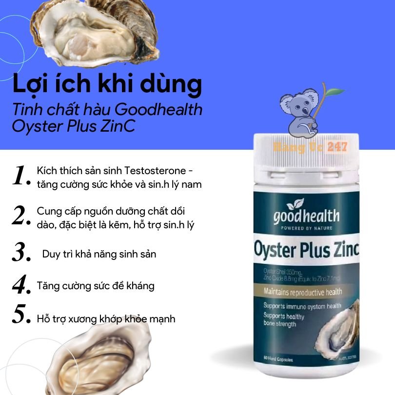 Công dụng của tinh chất hàu Oyster Plus Zinc 