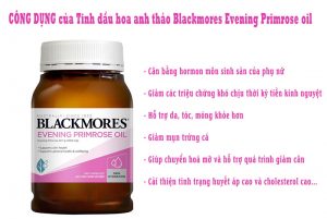 Tác dụng tinh dầu hoa anh thảo úc blackmores