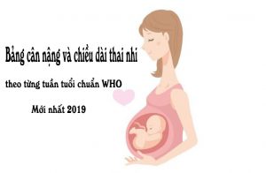 Bảng cân nặng và chiều dài thai nhi theo từng tuần tuổi chuẩn WHO mới nhất 2019
