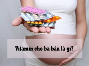 vitamin tổng hợp cho bà bầu là gì
