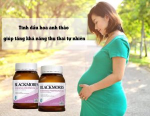 Tinh dầu hoa anh thảo tăng khả năng thụ thai