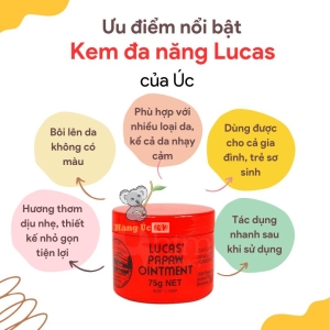 lucas papaw ointment