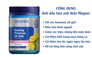 công dụng tinh dầu hoa nh thảo wagner