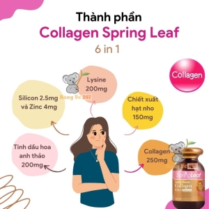 collagen spring leaf