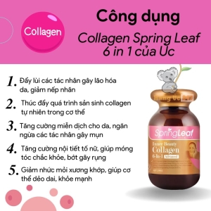 collagen spring leaf
