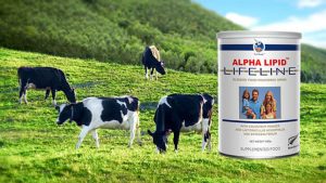 [MỚI NHẤT] Sữa Alpha Lipid chính hãng giá bao nhiêu?