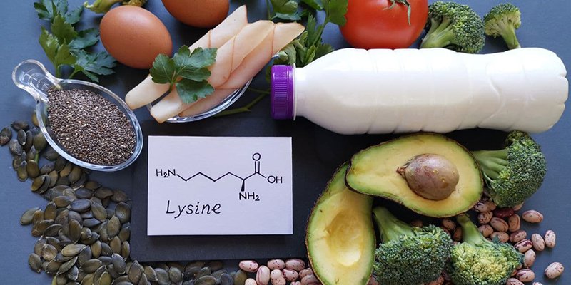 Bạn có biết lysine là gì?