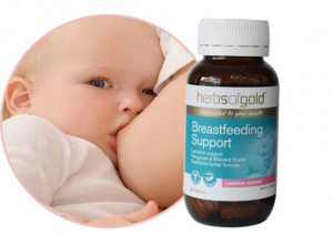 Review lợi sữa Herbs Of Gold Breastfeeding – Kích thích sữa mẹ dồi dào