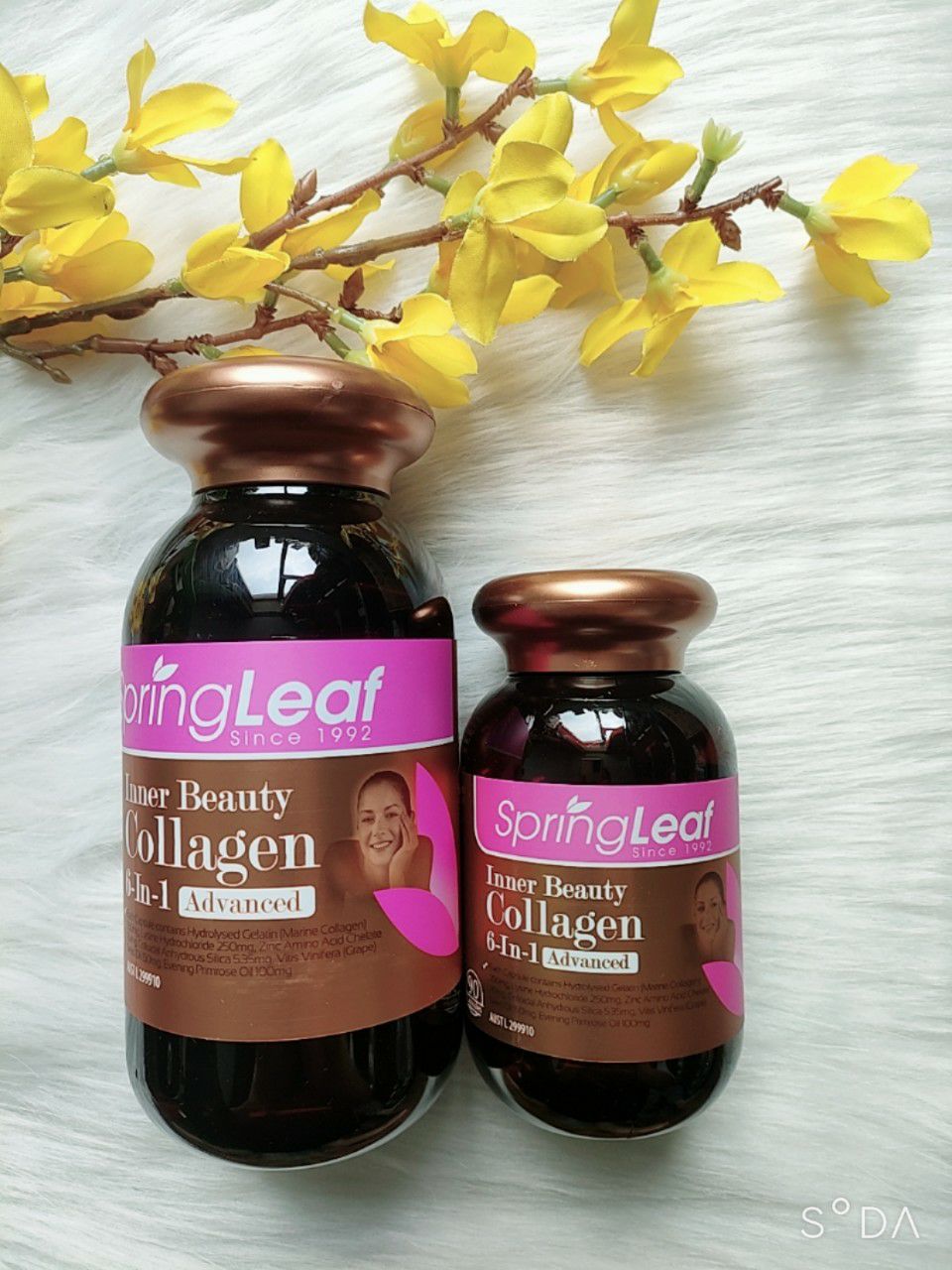 Review Collagen Spring Leaf Inner Beauty 6 trong 1 có thực sự tốt không?