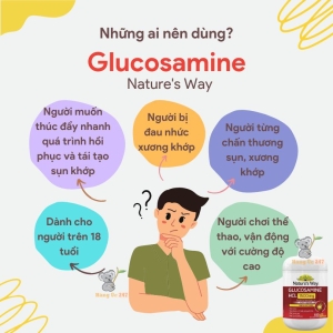 glucosamine nature's way 