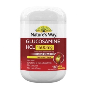 glucosamine nature's way 