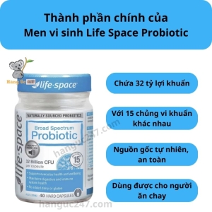 Thành phần Men vi sinh Probiotic