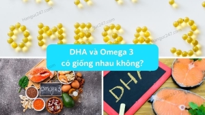 DHA và Omega 3 có giống nhau không? Nên bổ sung loại nào?