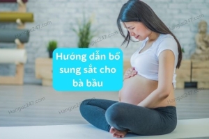 Hướng dẫn bổ sung sắt cho bà bầu khỏe mạnh suốt thai kỳ