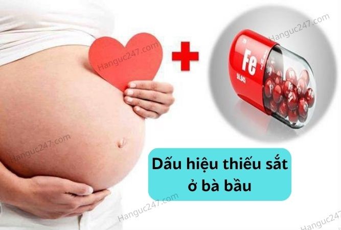 Top 10 dấu hiệu thiếu sắt ở bà bầu mà bạn cần biết